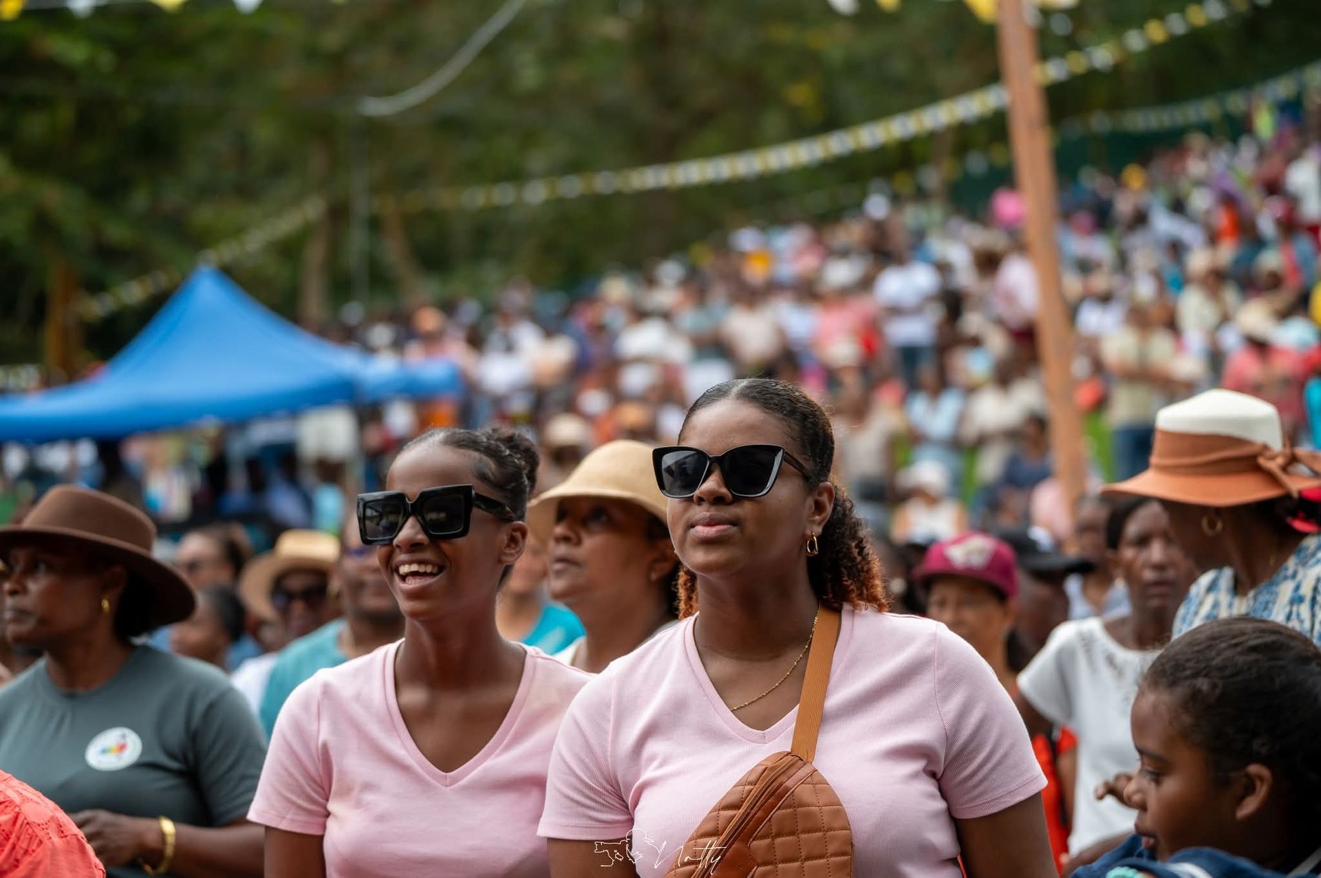 Image de diapositive